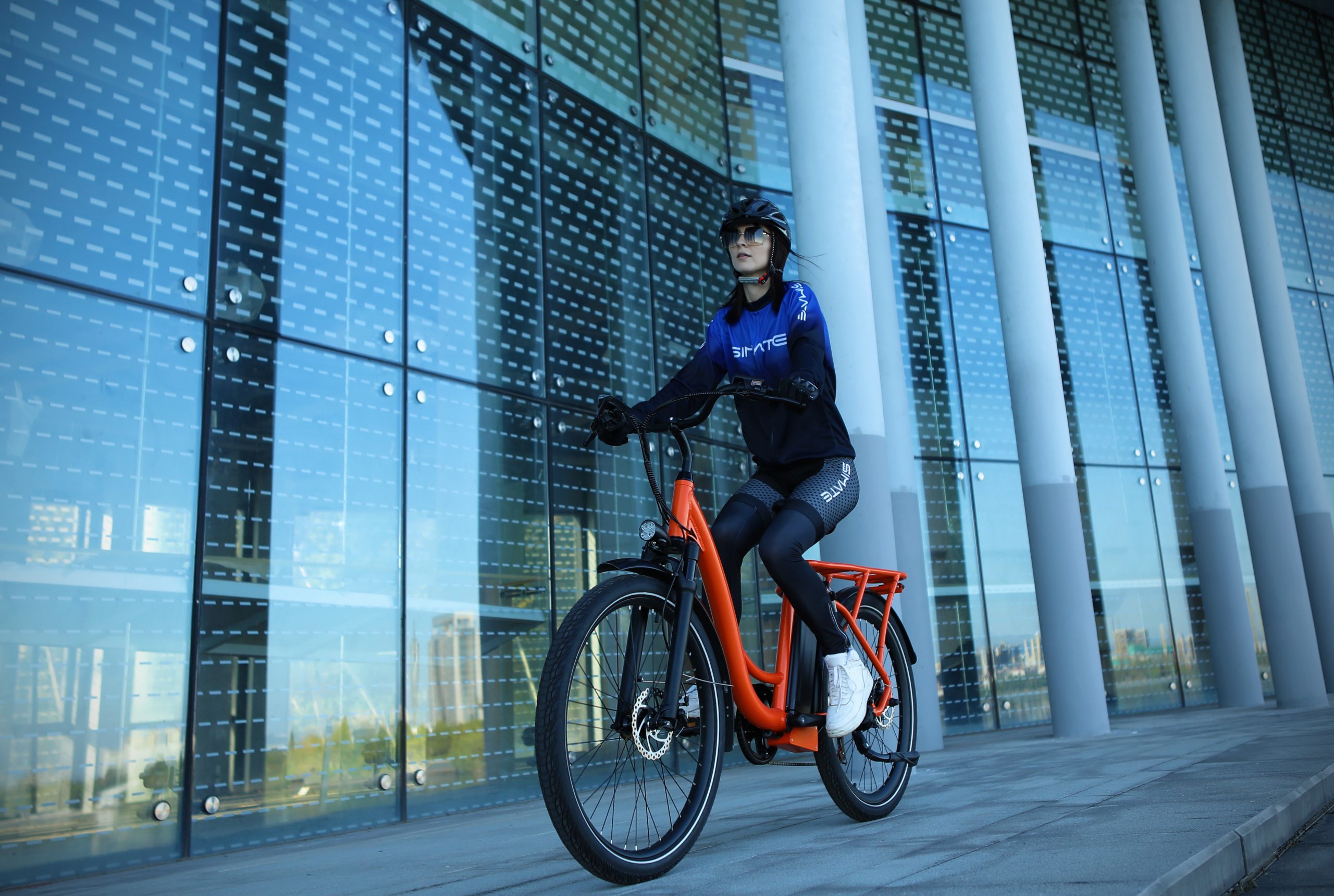 Electric Bike