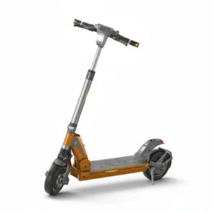 dual motor scooter T2-1