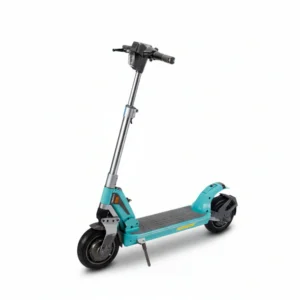 dual motor scooter T2-1